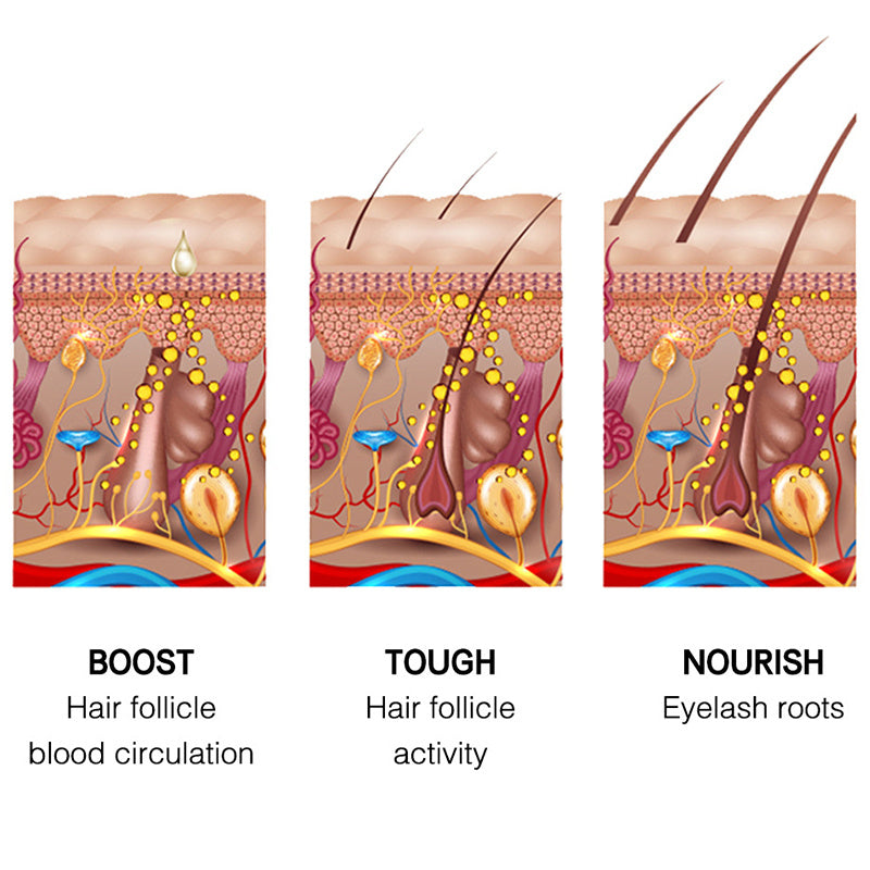 Promotes Scalp metabolism Nourish The Hair Roots